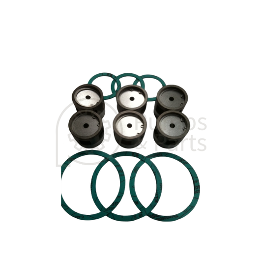 Disc Valve Kit 5256592